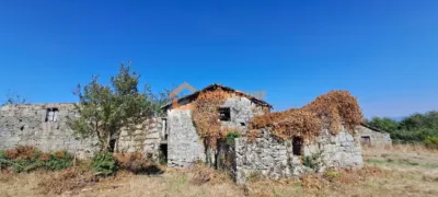 House in Baños de Molgas photo 9