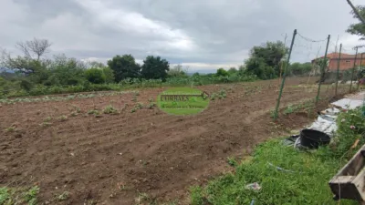 Rustic farm in Celanova photo 4