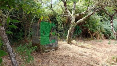 Chalet in Amoeiro photo 6