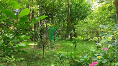 House in Leiro photo 9