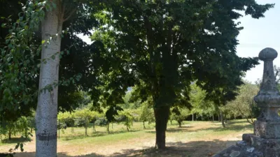 House in Padrón photo 59