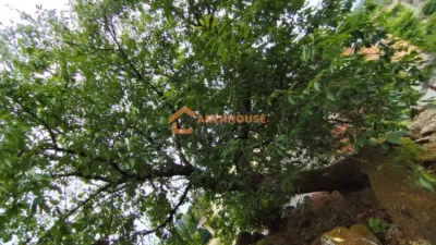 House in Carballeda de Avia photo 13