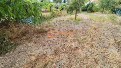 House in San Cristovo de Cea photo 35