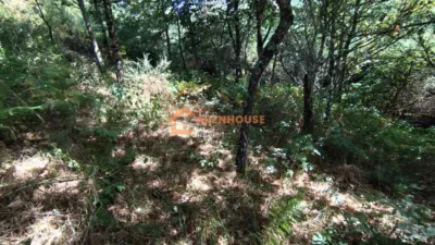 House in Carballiño (O) photo 8