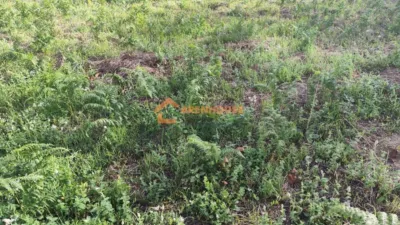 House in Celanova photo 18