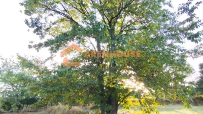 House in Verea photo 16