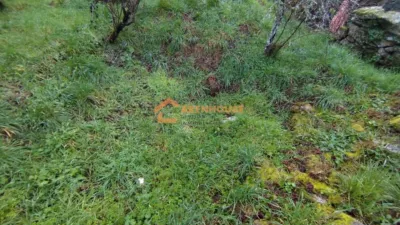 House in San Cristovo de Cea photo 16