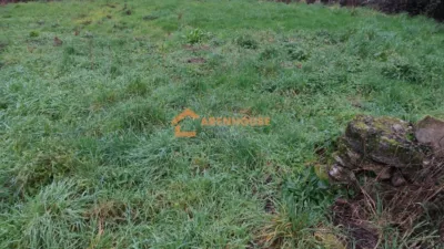House in San Cristovo de Cea photo 8