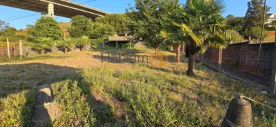 House in Portas photo 43