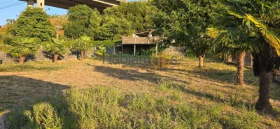 House in Portas photo 47