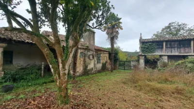 House on Raindo Street photo 34