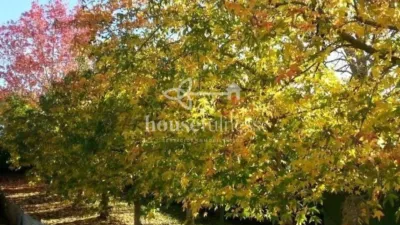 Chalet in Fene photo 11