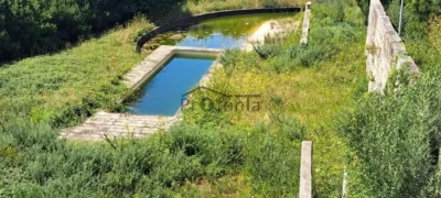 House in Lugar de Couto photo 32