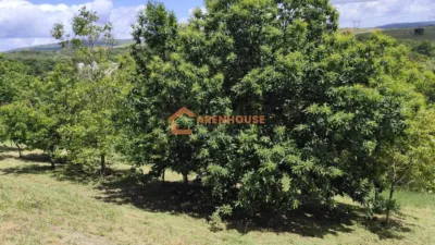 Chalet in Bande photo 64