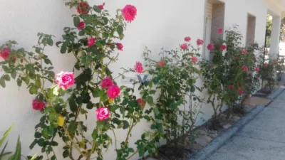 House in Toén photo 32