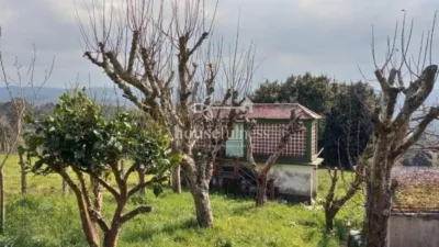 House in Moeche photo 25