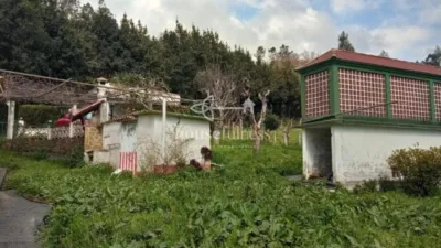 House in Moeche photo 5