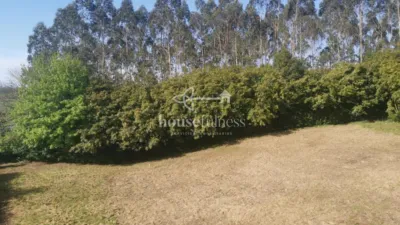 House in Moeche photo 17