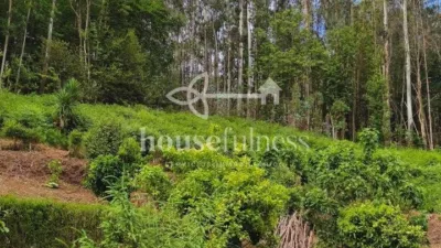House in Cedeira photo 18