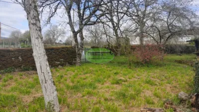 House in San Cristovo de Cea photo 2