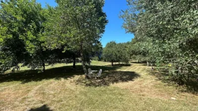 Chalet in Pereiro de Aguiar (O) photo 49