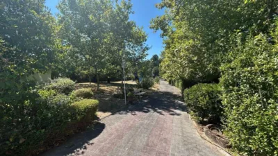 Chalet in Pereiro de Aguiar (O) photo 4