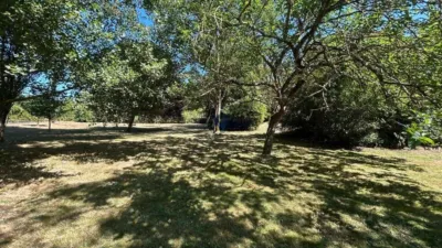 Chalet in Pereiro de Aguiar (O) photo 7