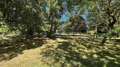 Chalet in Pereiro de Aguiar (O) photo 9