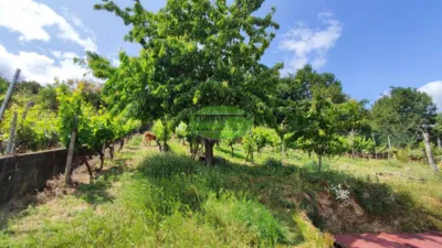 Chalet in Pereiro de Aguiar (O) photo 40