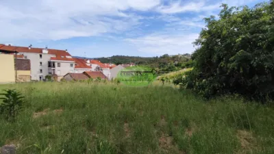 House in San Cibrao das Viñas photo 4