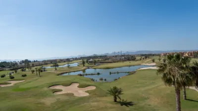 Apartment in Avenida Infanta Cristina, Urbanización Torre del Rame photo 32