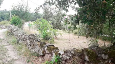 Land for sale in Paizas, Polígono 503, Parcela 87 en Freas de Eiras, Number 0, Ramiras (Ramirás) of 2.730 €
