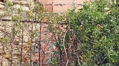 Terreno en venta en Calle Arroyos de Coche y Barranco del Sol, Número 0, Almogía de 408.000 €