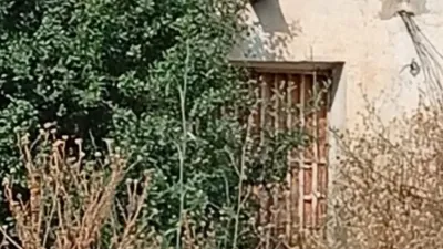 Terreno en venta en Calle Arroyos de Coche y Barranco del Sol, Número 0, Almogía de 408.000 €