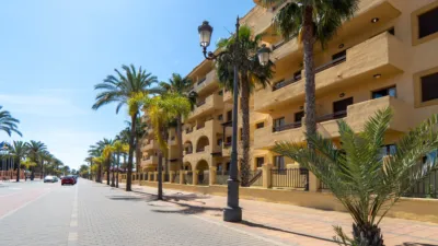 Apartment in Avenida Infanta Cristina, Urbanización Torre del Rame photo 3