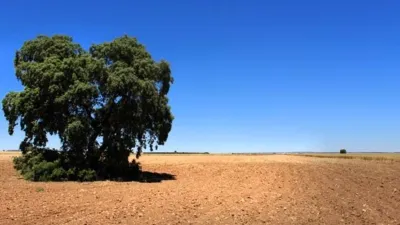 Terreno en venta en Calle Casarejo, Número 0 - Más