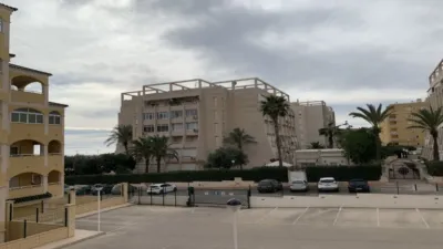 Piso – Torrevieja - Más