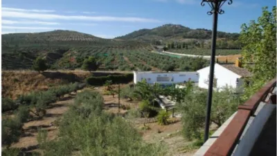Apartment on Calle Alcaudete Bobadilla photo 10