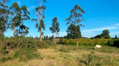 Terreno en venta en Rúa do Toro - Vista 2