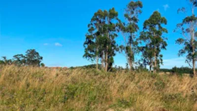 Terreno en venta en Rúa do Toro - Vista 4