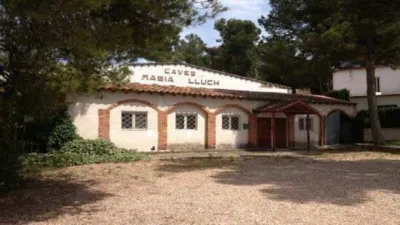 Commercial premises for sale in Avenida Igualada, Sitges photo 4