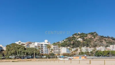 Apartment on Passeig de Pau Casals photo 32