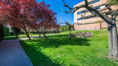 Apartment on Tramontana Street photo 42