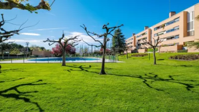 Apartment on Tramontana Street photo 46