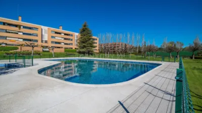 Apartment on Tramontana Street photo 47