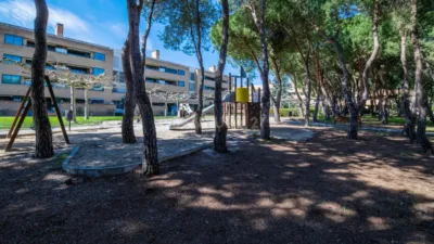 Apartment on Tramontana Street photo 49