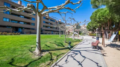 Apartment on Tramontana Street photo 50