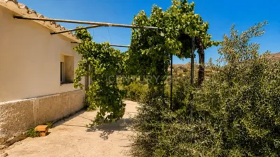 Rustic finca on Calle Diseminado Poligono 25 photo 6