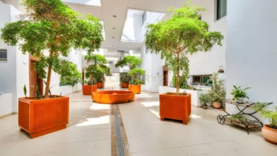 Apartment in Calle Valle de Somiedo photo 23