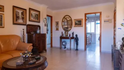 Apartment on Avenida Juan Carlos I photo 5